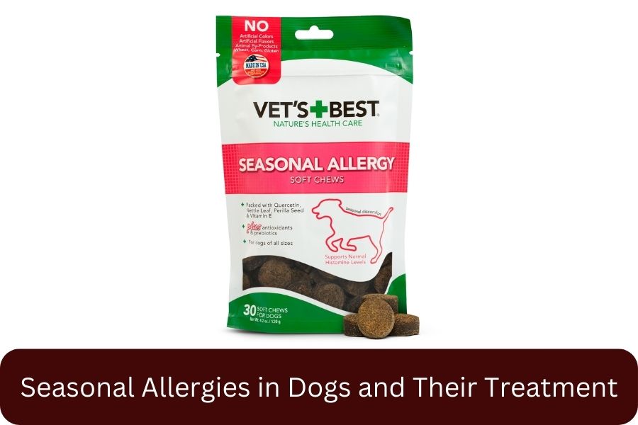 Seasonal Allergies in Dogs and Their Treatment